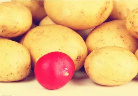 土豆生物苹果版土豆生物app下载-第2张图片-太平洋在线下载