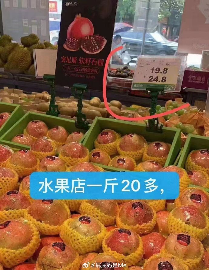 淘品质苹果版淘图苹果版下载