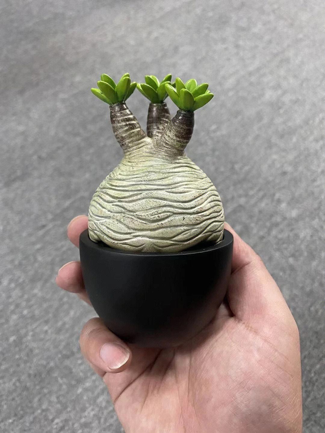 手机版怎么制造植物模型初一简单植物细胞模型制作-第2张图片-太平洋在线下载