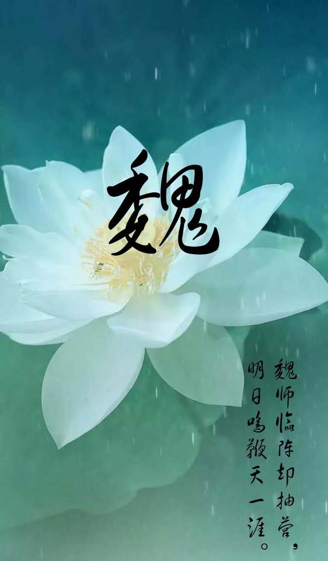 中国姓氏壁纸手机版姓氏手机壁纸高清壁纸-第2张图片-太平洋在线下载