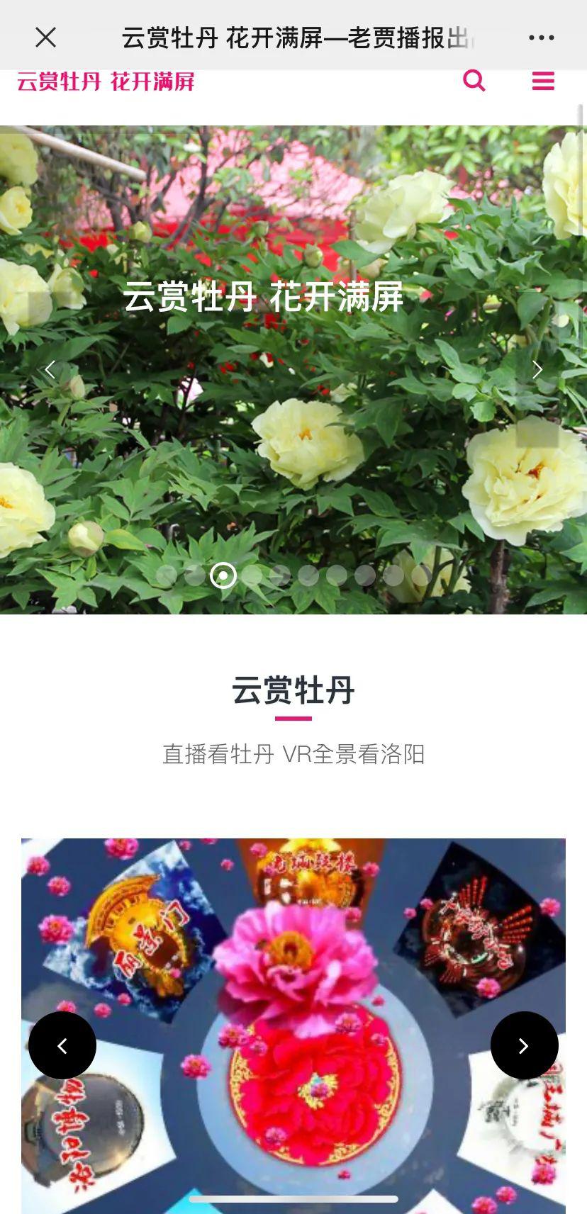 杜丹直播苹果版牡丹直播改名叫什么名字