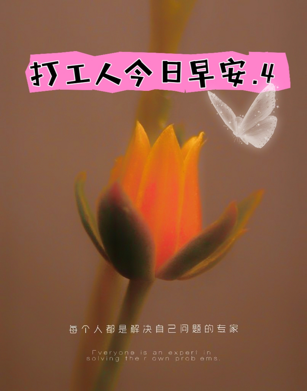 ryona手机安卓版麦卓vs库拉ryona土豆-第2张图片-太平洋在线下载