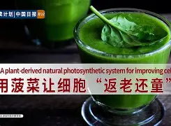 大力菠菜客户端dota2大力菠菜app-第2张图片-太平洋在线下载